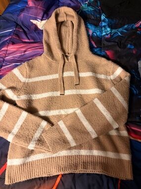 Max Studio Tan & Cream Striped Hooded Crewneck Sweater